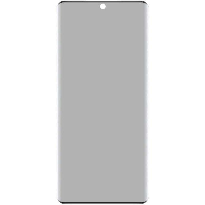 Anti-spionage Schermbeschermer Van Gehard Glas Voor Vivo V40 5g