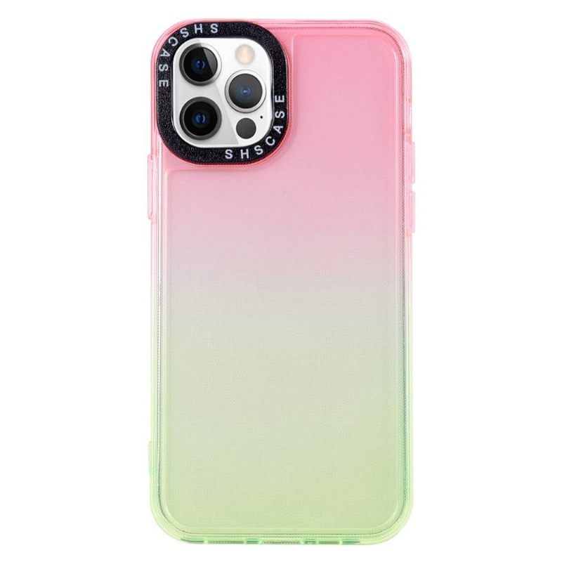 Hoesje voor iPhone 13 Pro Max Ultrabeschermende Veelkleurig