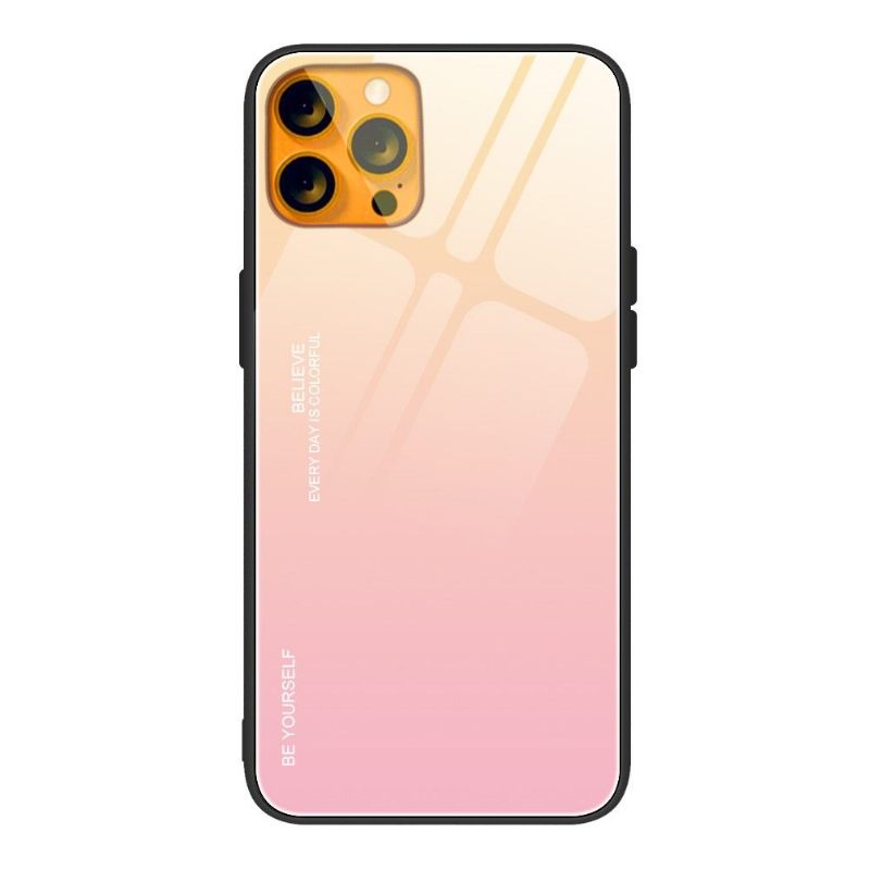 Telefoonhoesje voor iPhone 13 Pro Max Bescherming Kleurverloop