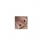 Goud