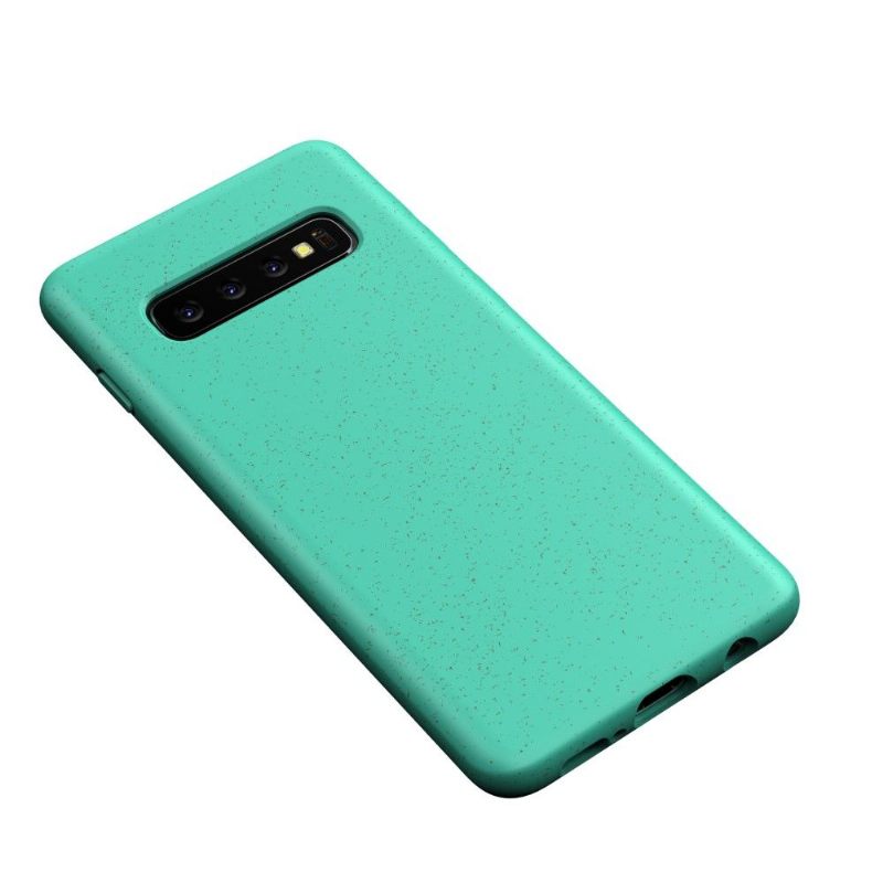 Hoesje voor Samsung Galaxy S10 Plus Granen Met Mat Effect