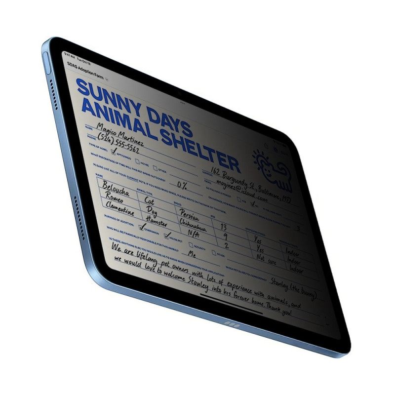 Anti-spionage Schermbeschermer Van Gehard Glas Voor iPad (2025) / 10.9" (2022)